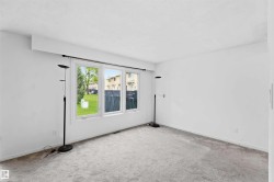 Room featuring light gray carpet, white painted walls, and a multi-pane window overlooking a green lawn - 