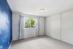 Carpeted room featuring a white ceiling and walls, with one accent wall painted in a deep blue texture - 