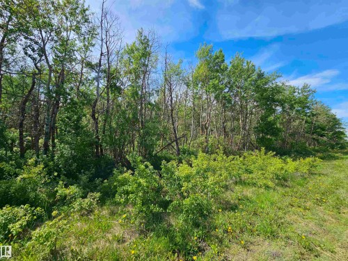 Twp Rd 580 Range Road 95, Rural St. Paul County, AB 