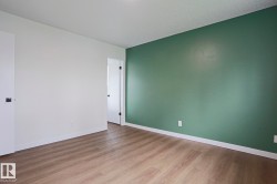 Room with wood-finish flooring, a feature wall in a muted green hue, and white baseboards - 