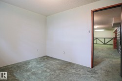Room featuring light-colored walls and green carpeting - 