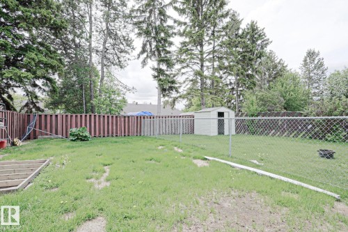 Expansive backyard featuring a chain-link fence, a privacy fence, an outdoor storage shed, and mature trees - 10 Murray Crescent, St. Albert, AB 