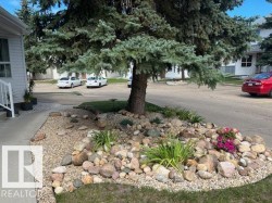Landscaped rock garden featuring mature evergreen trees and varied foliage - 