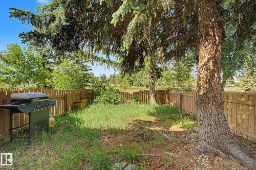 Spacious backyard featuring a wooden privacy fence, mature evergreen trees, and natural landscaping - 45 2020 105 Street, Edmonton, AB 