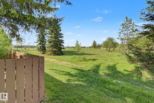 Expansive grassy area featuring a partial wood fence, mature evergreen trees, and scattered deciduous trees under a clear sky - 45 2020 105 Street, Edmonton, AB 