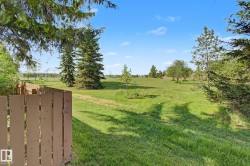Expansive grassy area featuring a partial wood fence, mature evergreen trees, and scattered deciduous trees under a clear sky - 