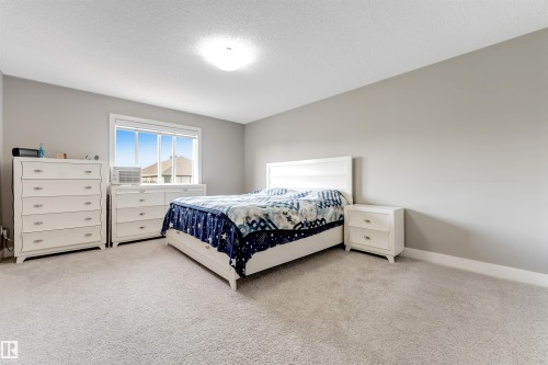 5930 19A Avenue, Edmonton, AB - Indoor Photo Showing Bedroom