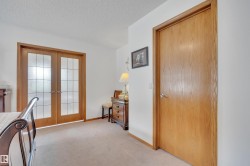 Double French doors with frosted glass panels and a solid wood door - 