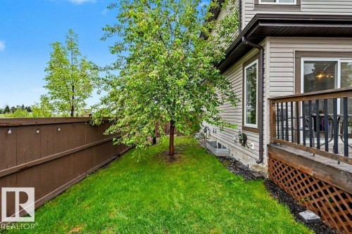 Expansive green lawn featuring a mature tree and a wooden privacy fence - 13004 164 Avenue, Edmonton, AB 