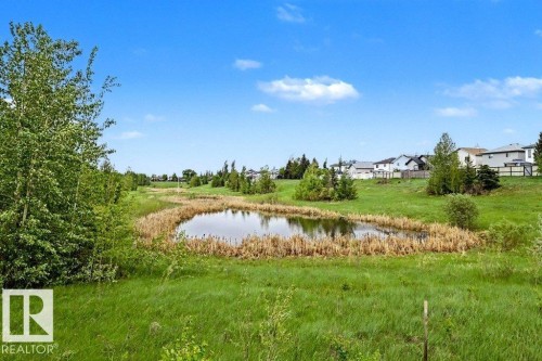 Natural landscape featuring a pond surrounded by tall grasses and mature trees, with residential properties visible in the background - 13004 164 Avenue, Edmonton, AB 