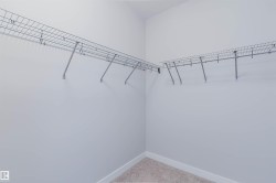 Spacious closet featuring white walls, wire shelving, and carpeting - 