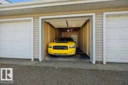 Multi-bay garage exterior featuring white paneled doors and tan horizontal siding - 