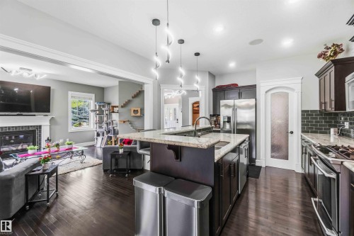 247 Ambleside Drive, Edmonton, AB - Indoor Photo Showing Kitchen With Upgraded Kitchen