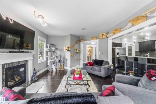 247 Ambleside Drive, Edmonton, AB - Indoor Photo Showing Living Room With Fireplace