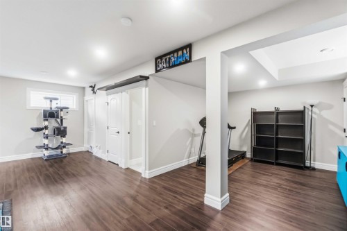 247 Ambleside Drive, Edmonton, AB - Indoor Photo Showing Gym Room