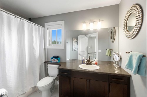 247 Ambleside Drive, Edmonton, AB - Indoor Photo Showing Bathroom