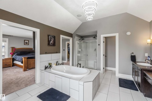 247 Ambleside Drive, Edmonton, AB - Indoor Photo Showing Bathroom