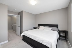 Carpeted room featuring light gray walls and a textured white ceiling - 