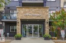 Building entrance featuring stacked stone facade, double glass doors, exterior wall sconces, and planters with greenery - 211 1204 156 Street Nw, Edmonton, AB 