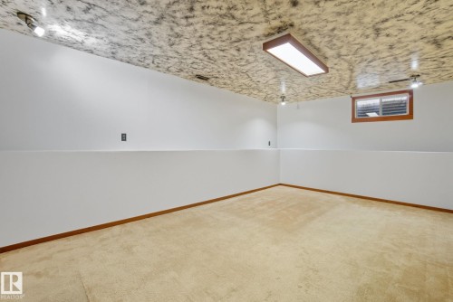 Basement - 14239 53 Street, Edmonton, AB 