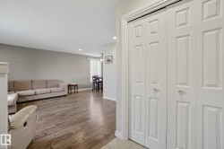 Bi-fold closet doors with panel detailing - 