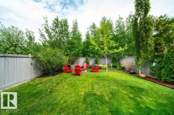 Expansive backyard featuring a manicured lawn, established trees, and a wooden privacy fence - 