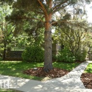 6 st George's Crescent  Edmonton, AB T5N 3M7