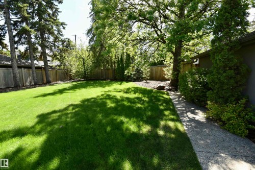 Expansive backyard featuring a manicured lawn, mature trees, a wood privacy fence, and a concrete pathway - 6 St George'S Crescent, Edmonton, AB 
