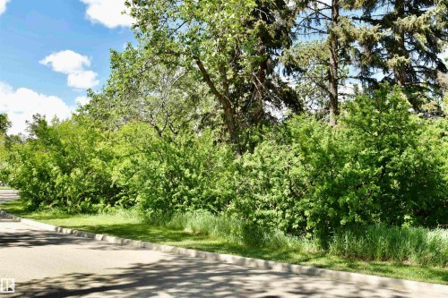 Lush green foliage and mature trees line a paved roadside - 6 St George'S Crescent, Edmonton, AB 