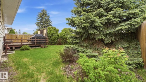 Yard - 7408 40 Avenue, Edmonton, AB 