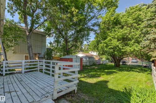 Expansive backyard featuring a white wood deck, manicured lawn, and mature trees - 11417 65 Street, Edmonton, AB 