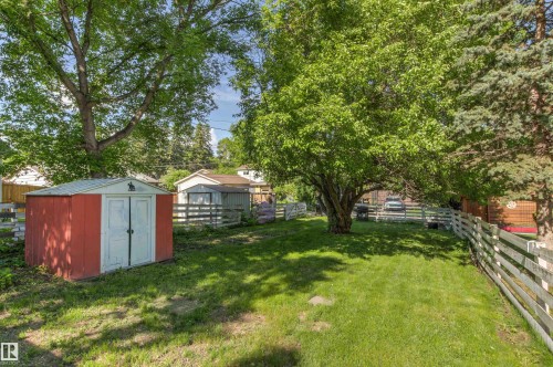 Expansive green lawn with mature trees providing natural shade - 11417 65 Street, Edmonton, AB 