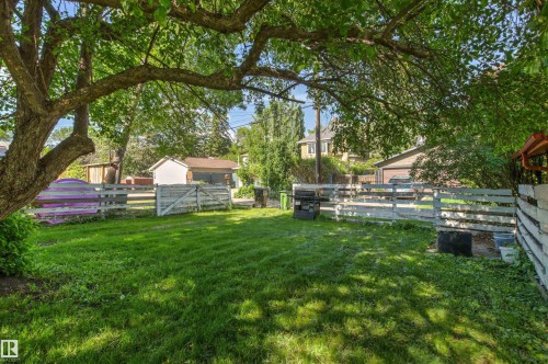 Expansive lawn area featuring a mature shade tree and perimeter fencing - 11417 65 Street, Edmonton, AB 