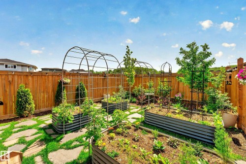 Expansive backyard featuring multiple raised garden beds, established plantings, a full privacy fence, flagstone pathway, and arched garden trellises - 20507 128 Avenue, Edmonton, AB 