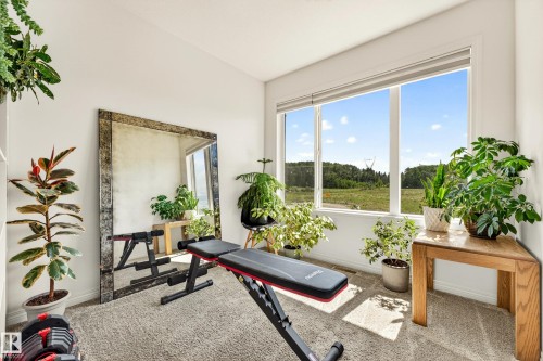 Bright room featuring wall-to-wall carpeting and a full-length mirror - 20507 128 Avenue, Edmonton, AB 
