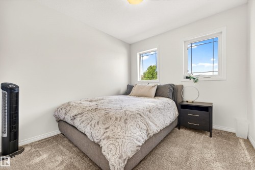 Bright room featuring two windows, neutral carpeting, white trim, and a ceiling light fixture - 20507 128 Avenue, Edmonton, AB 