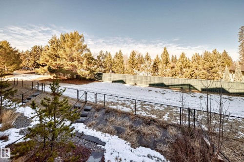 Tiered backyard landscaping featuring multiple fenced levels, mature evergreen trees, a full privacy fence, and integrated stone steps - 46 1304 Rutherford Road, Edmonton, AB - Outdoor