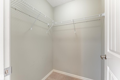 Walk-in closet featuring wire shelving, neutral carpeting, and light gray walls - 8204 180 Avenue, Edmonton, AB 