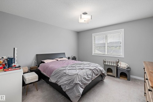 15927 13 Avenue, Edmonton, AB 