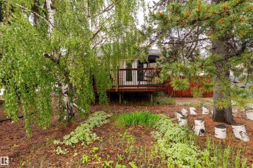 11227 40 Avenue, Edmonton, AB 