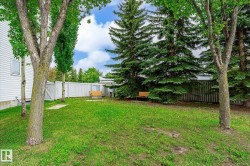 Grassy outdoor space featuring a white privacy fence, mature evergreen trees, and a light-colored wood-slat bench - 
