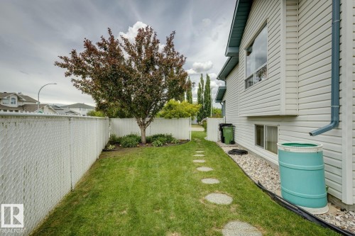 Side yard featuring a manicured lawn, established tree, and a white chain-link fence - 5131 152A Avenue, Edmonton, AB 