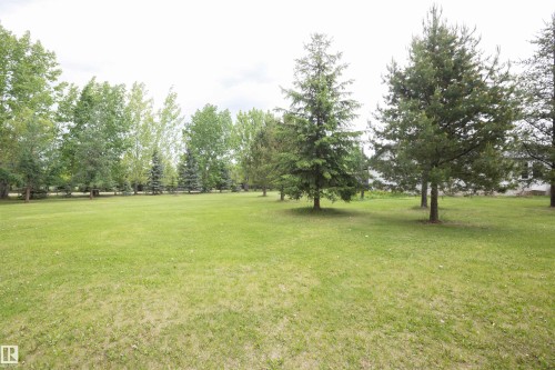 Expansive green lawn with a variety of mature trees and evergreen trees - 209 5128 Highway 18, Rural Barrhead County, AB 
