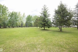 Expansive green lawn with a variety of mature trees and evergreen trees - 