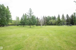 Expansive green lawn with mature trees and a dense tree line bordering the property - 