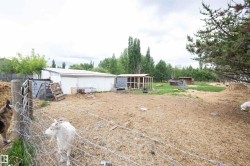 Expansive outdoor area featuring multiple animal enclosures, including a chicken coop and two additional shelters - 
