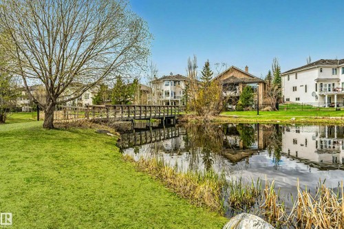 Expansive green space featuring a large deciduous tree, a tranquil pond with natural vegetation, and a wooden footbridge - 116 Darlington Crescent, Edmonton, AB 
