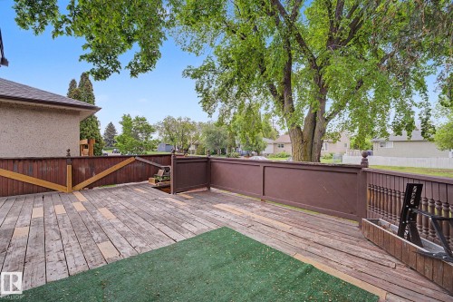 10731 163 Street, Edmonton, AB 