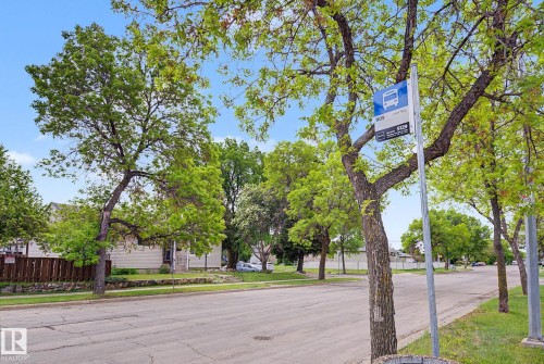 10731 163 Street, Edmonton, AB 