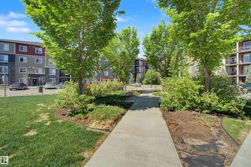 313 5370 Chappelle Road Sw, Edmonton, AB 